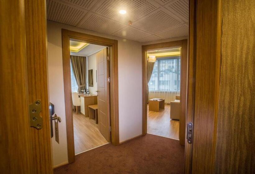 اتاق خانوادگی تودرتو, Park Square