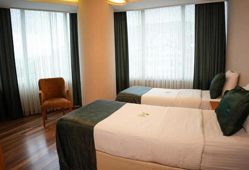 اتاق استاندارد, Park Square