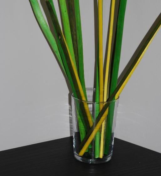 חדר קומפורט, Ruthenium