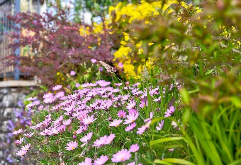 דירת שני חדרים, Howgills Apartments