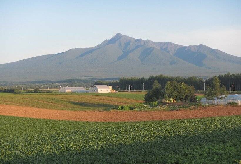 3 Kişilik Temel Oda, Kiyosato Ihatov Hostel