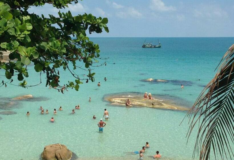 غرفة سوبيريور مطلّة علي البحر, Silver Beach Resort