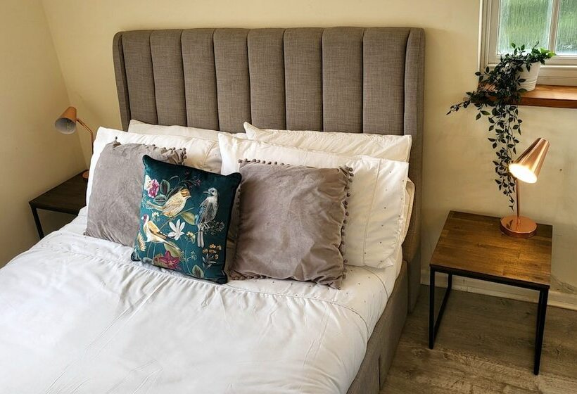 شقة غرفة واحدة, Southcourt