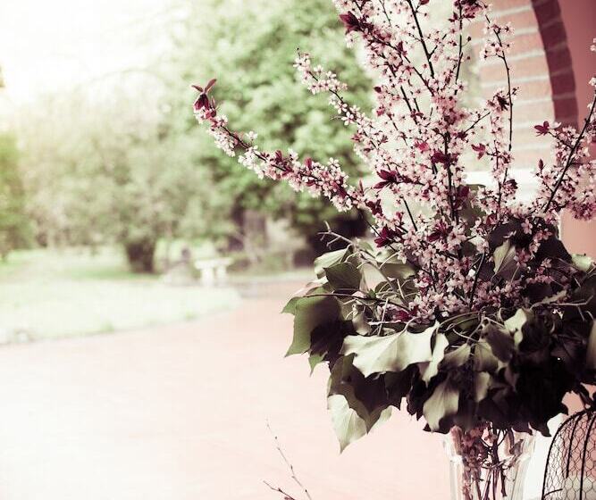 障害者適応デラックスルーム, Relax&venice