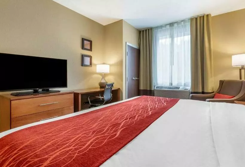 キングサイズベッドのスタンダードルーム, Comfort Inn & Suites Near Mt. Rushmore