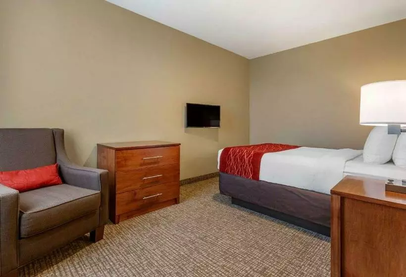 スイート, Comfort Inn & Suites Near Mt. Rushmore
