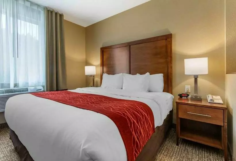 キングサイズベッドのスイートルーム, Comfort Inn & Suites Near Mt. Rushmore