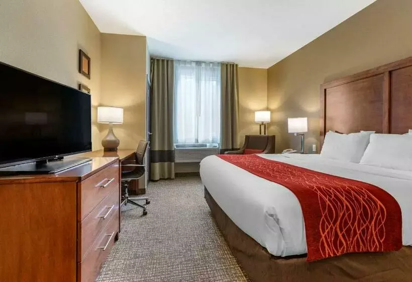 キングサイズベッドのスタンダードルーム, Comfort Inn & Suites Near Mt. Rushmore