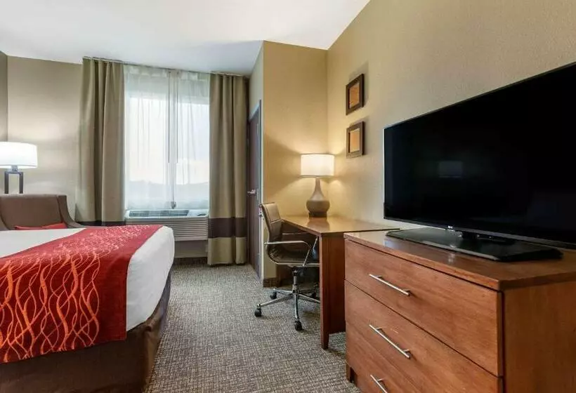 スイート, Comfort Inn & Suites Near Mt. Rushmore