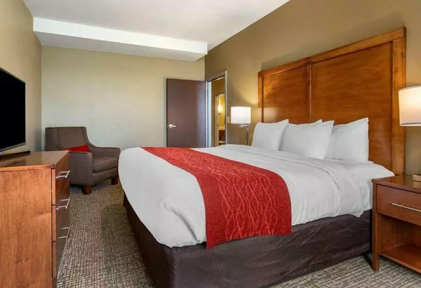 スイート, Comfort Inn & Suites Near Mt. Rushmore