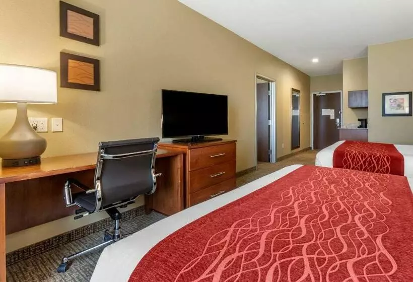 スイート, Comfort Inn & Suites Near Mt. Rushmore