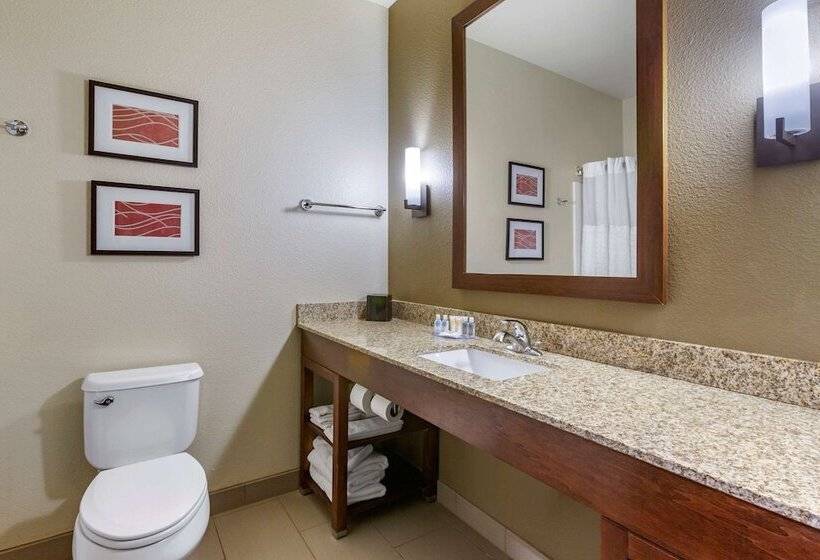 Номер Стандарт 2 Двуспальные Кровати, Comfort Inn & Suites Near Mt. Rushmore