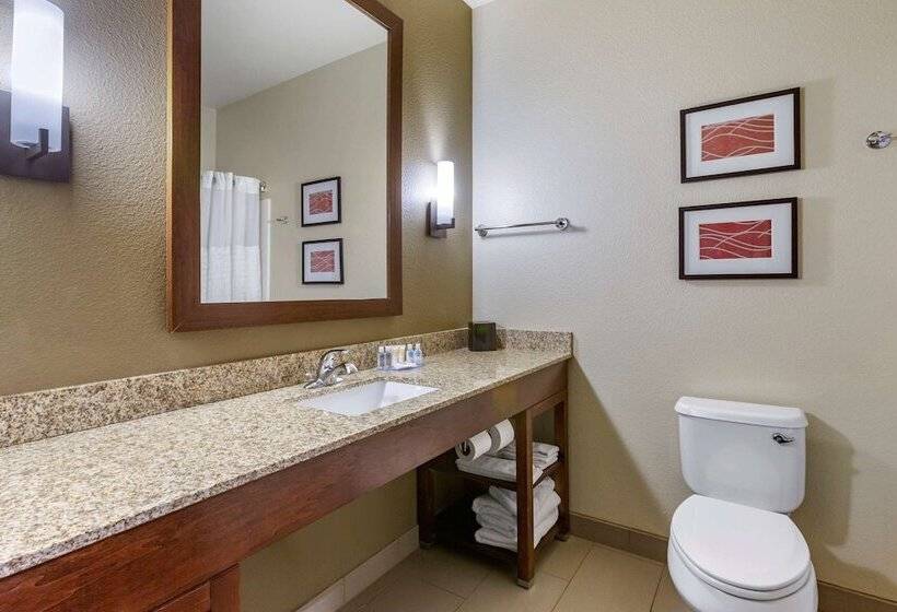 Люкс, Comfort Inn & Suites Near Mt. Rushmore