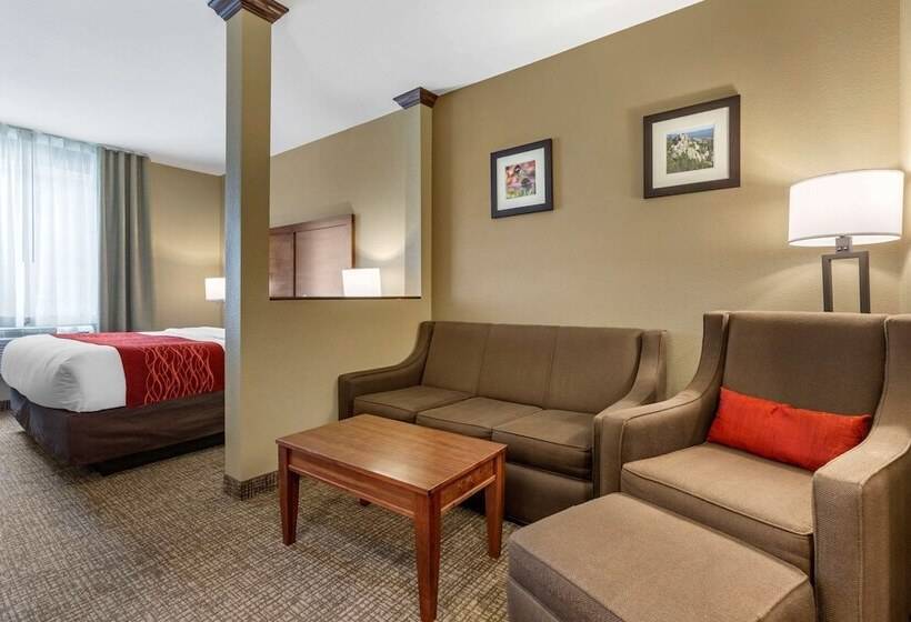 Люкс, Comfort Inn & Suites Near Mt. Rushmore