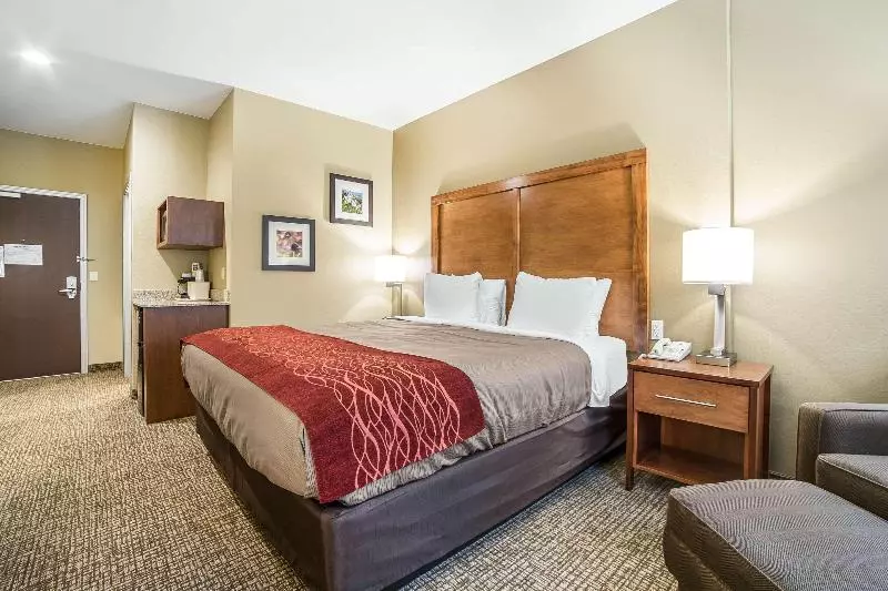 キングサイズベッドのスタンダードルーム, Comfort Inn & Suites Near Mt. Rushmore