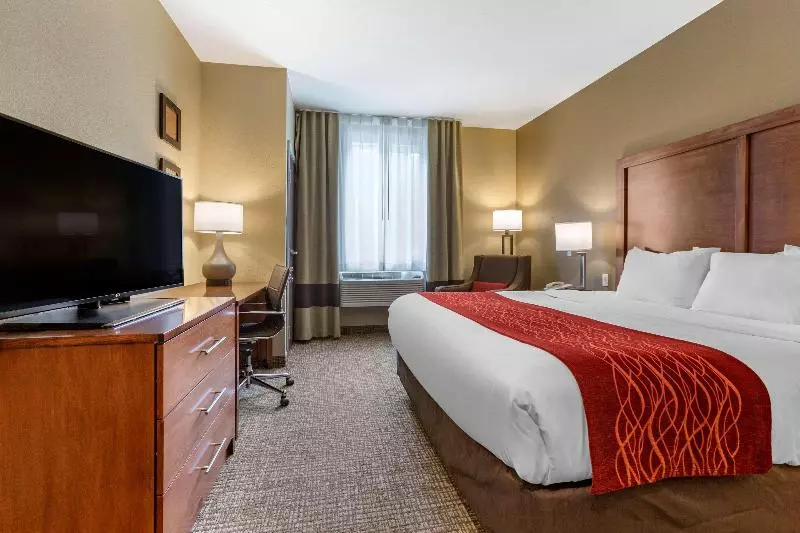キングサイズベッドのスタンダードルーム, Comfort Inn & Suites Near Mt. Rushmore