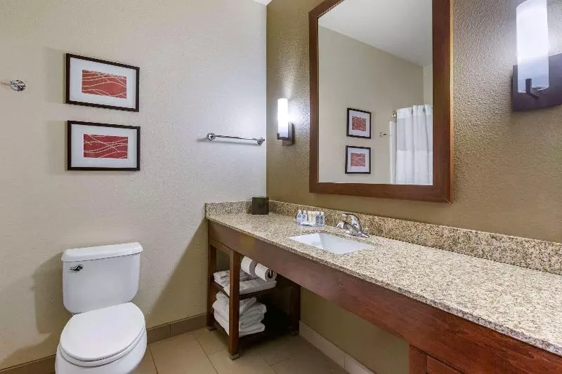 キングサイズベッドのスタンダードルーム, Comfort Inn & Suites Near Mt. Rushmore