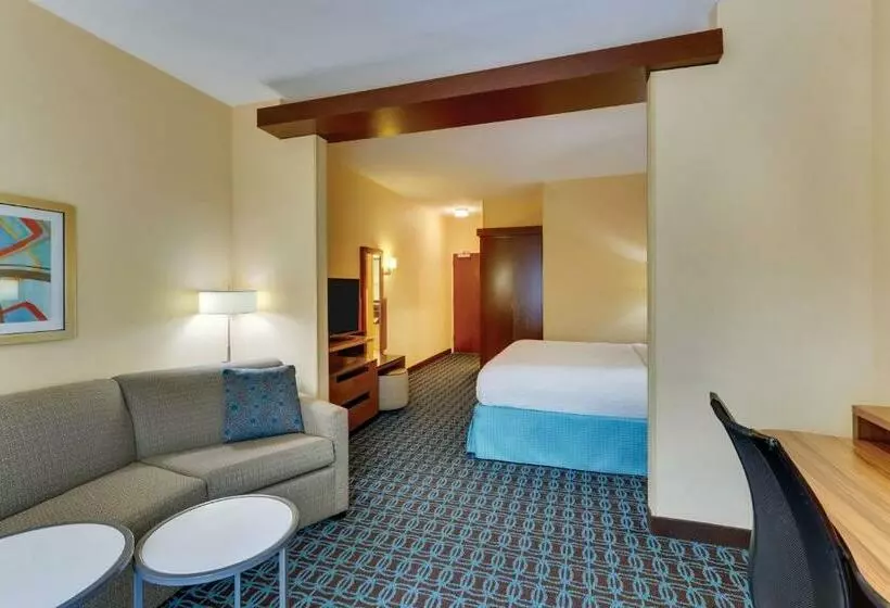 キングサイズベッドのスイートルーム, Fairfield Inn & Suites By Marriott Dunn I 95
