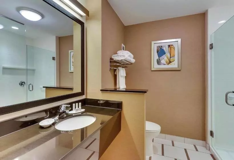 スタンダードルーム, Fairfield Inn & Suites By Marriott Dunn I 95