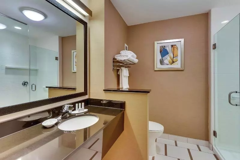 キングサイズベッドのスタンダードルーム, Fairfield Inn & Suites By Marriott Dunn I 95