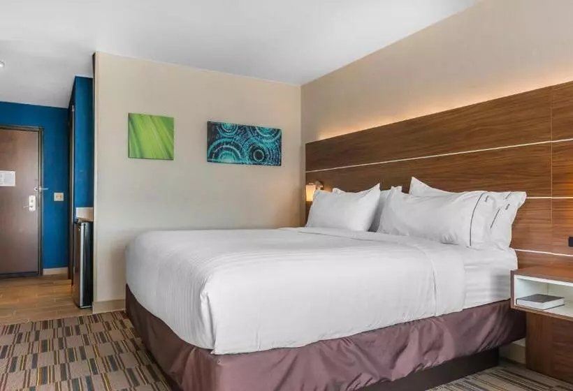 身障者適用キングサイズベッドルーム, Holiday Inn Express & Suites Clarion, An Ihg