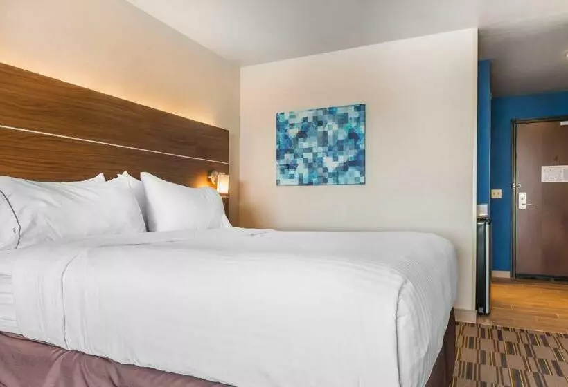 キングサイズベッドのスーペリアルーム, Holiday Inn Express & Suites Clarion, An Ihg