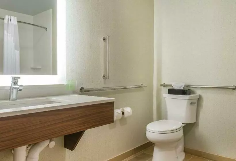 身障者適用キングサイズベッドルーム, Holiday Inn Express & Suites Clarion, An Ihg