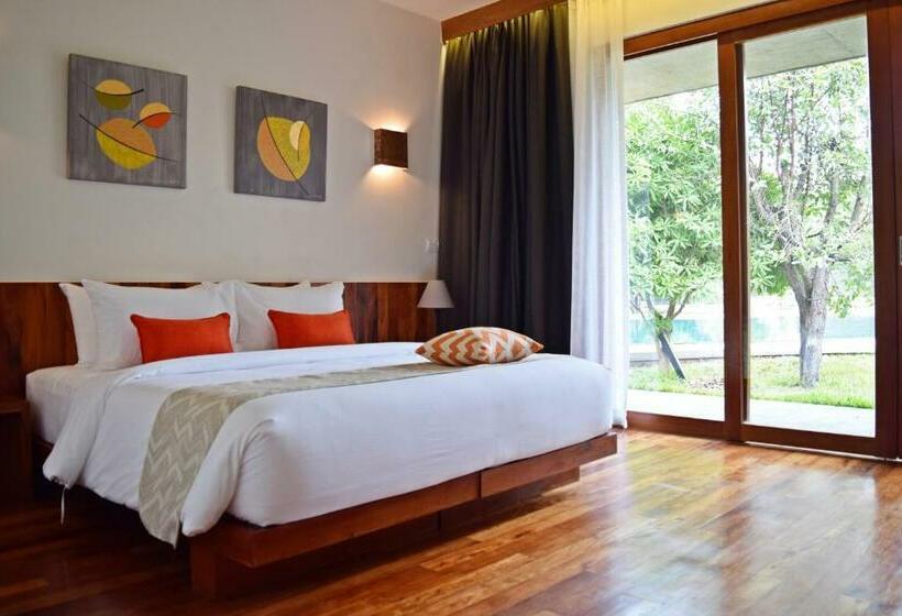 سوییت جونیور, Templation