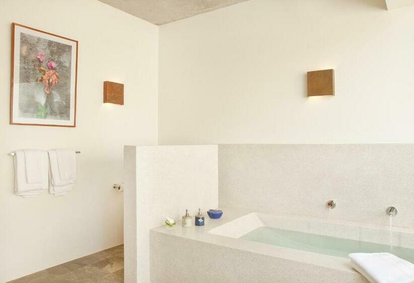 ویلای یک اتاق خوابه با استخر شنا, Templation