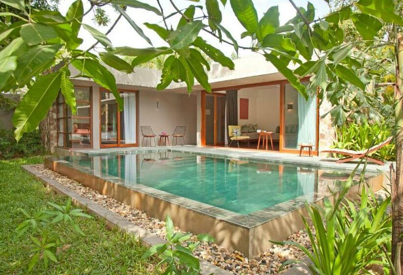 ویلای یک اتاق خوابه با استخر شنا, Templation