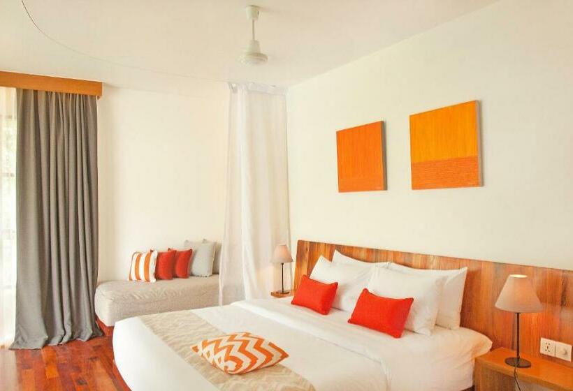 ویلای یک اتاق خوابه با استخر شنا, Templation