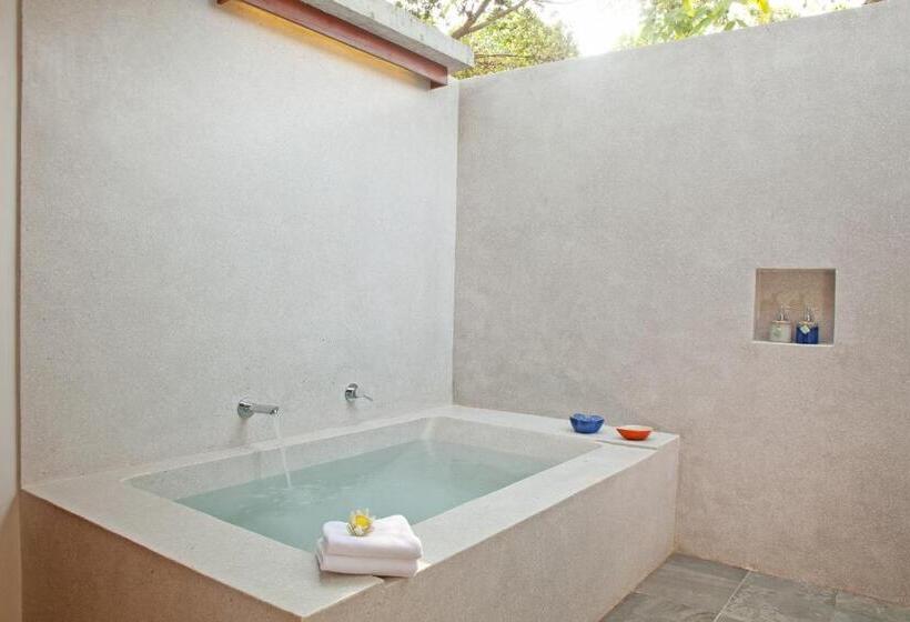 سوییت جونیور, Templation