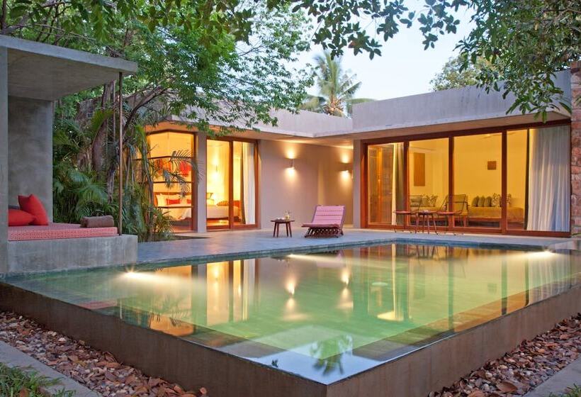 ویلای یک اتاق خوابه با استخر شنا, Templation