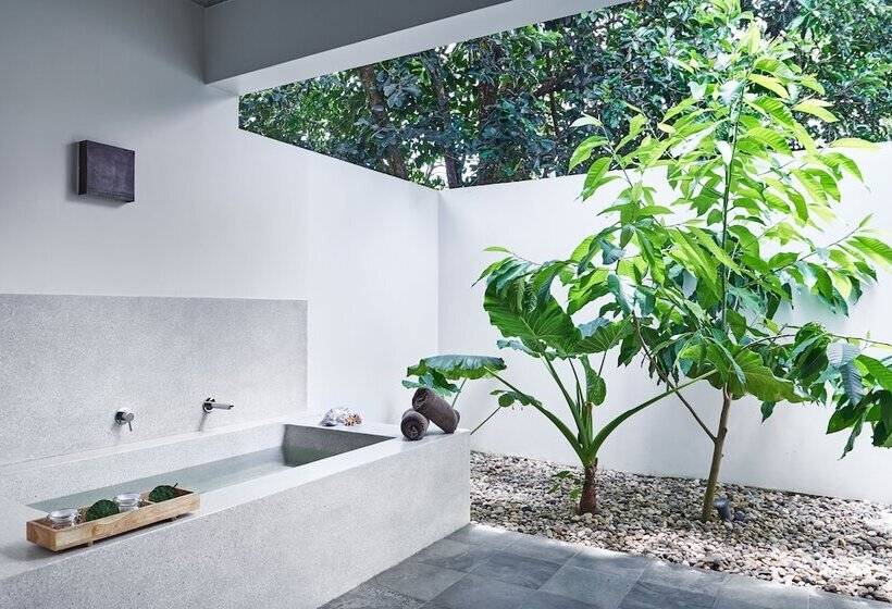 ویلای یک اتاق خوابه با استخر شنا, Templation