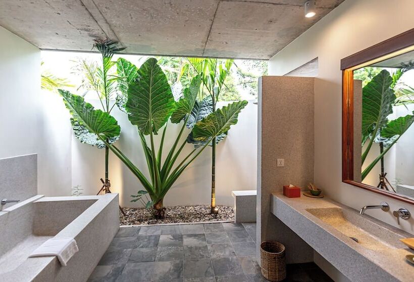 ویلای یک اتاق خوابه با استخر شنا, Templation