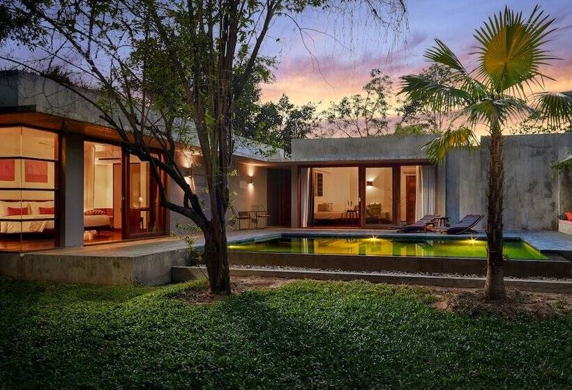 ویلای یک اتاق خوابه با استخر شنا, Templation