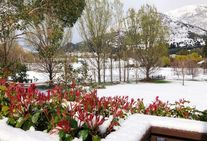 إستوديو قياسى, Alpine View Lodge