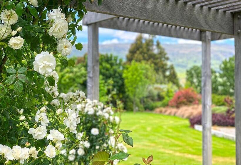 إستوديو قياسى سرير كينج, Alpine View Lodge