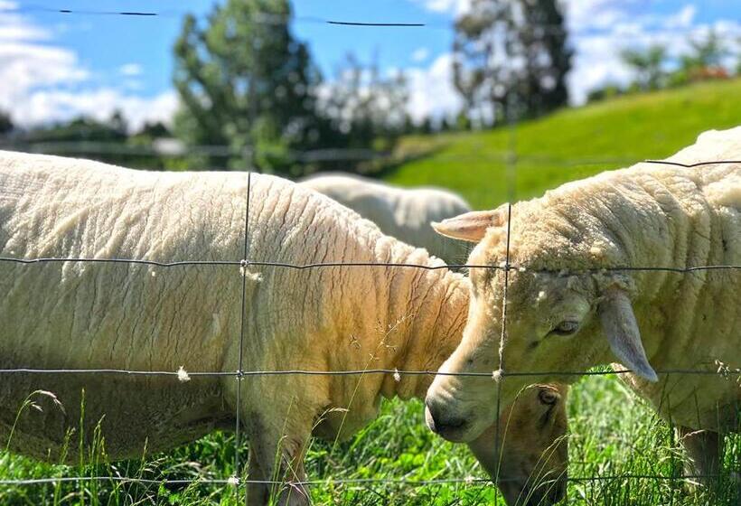 منزل غرفتين نوم, Alpine View Lodge