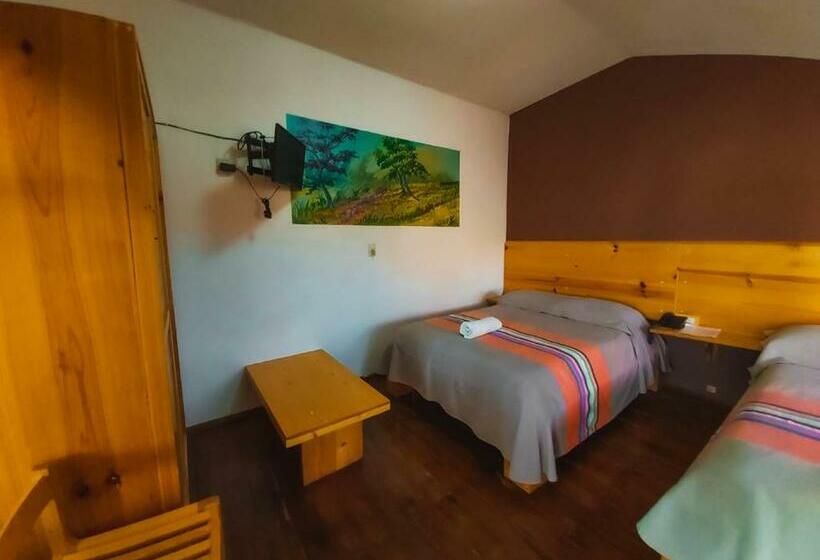 스탠다드 룸, María Arte