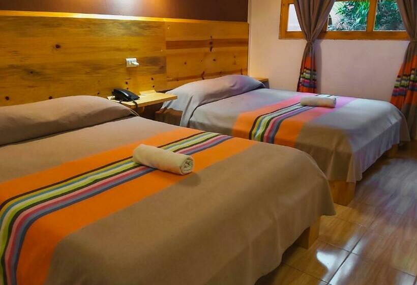 스탠다드 룸, María Arte