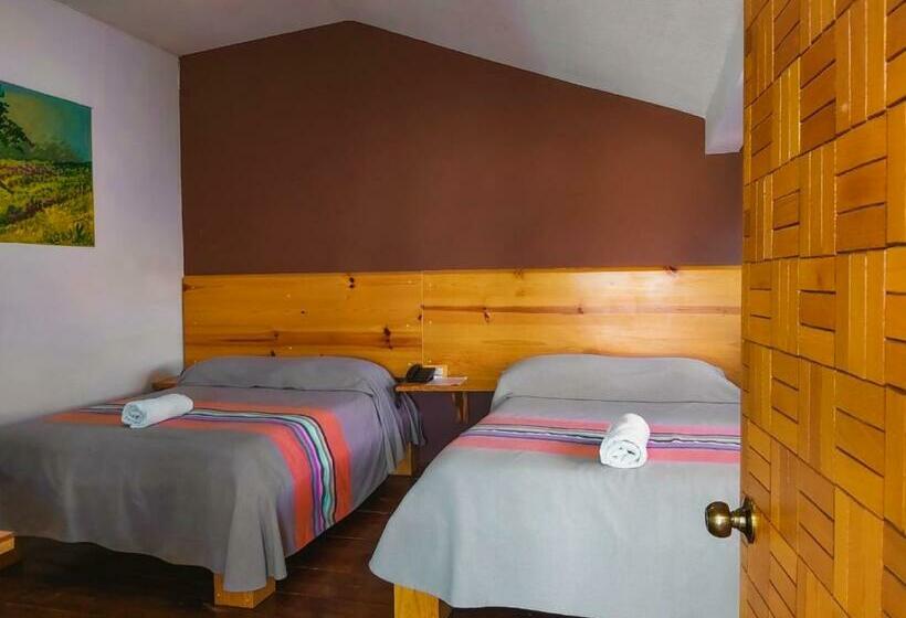 스탠다드 트리플 룸, María Arte