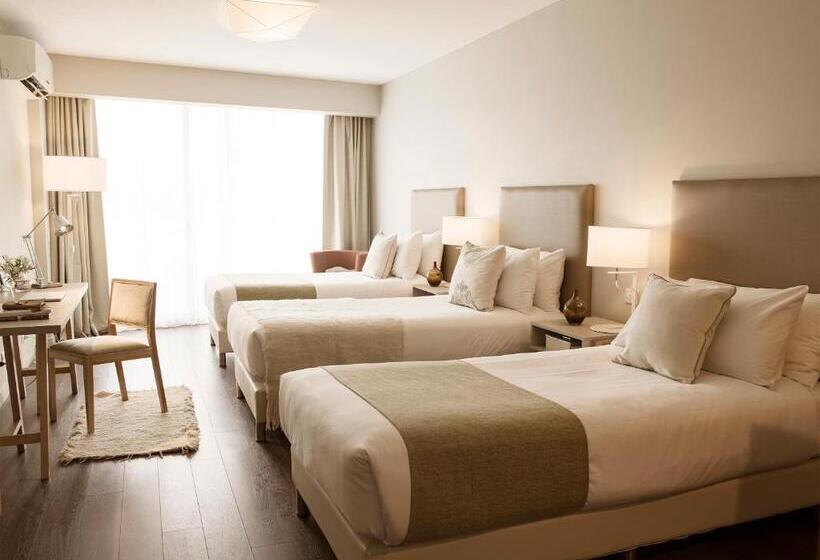 اتاق کلاسیک, Dazzler By Wyndham Polo