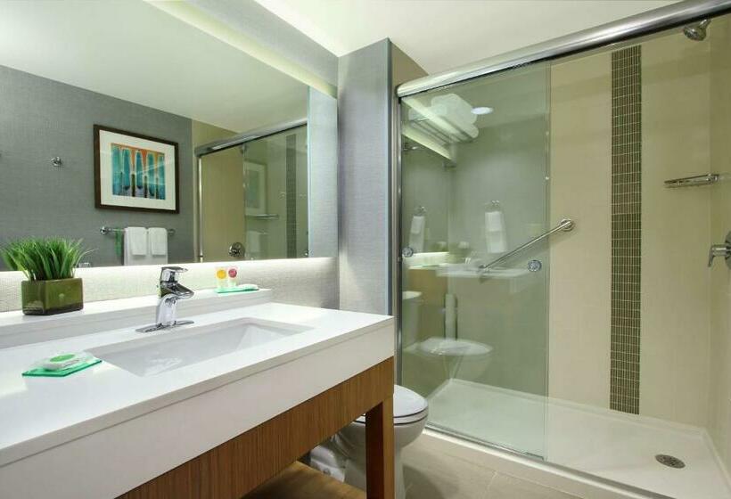 Стандартный Номер Кровать Кинг, Hyatt Place Houston/katy