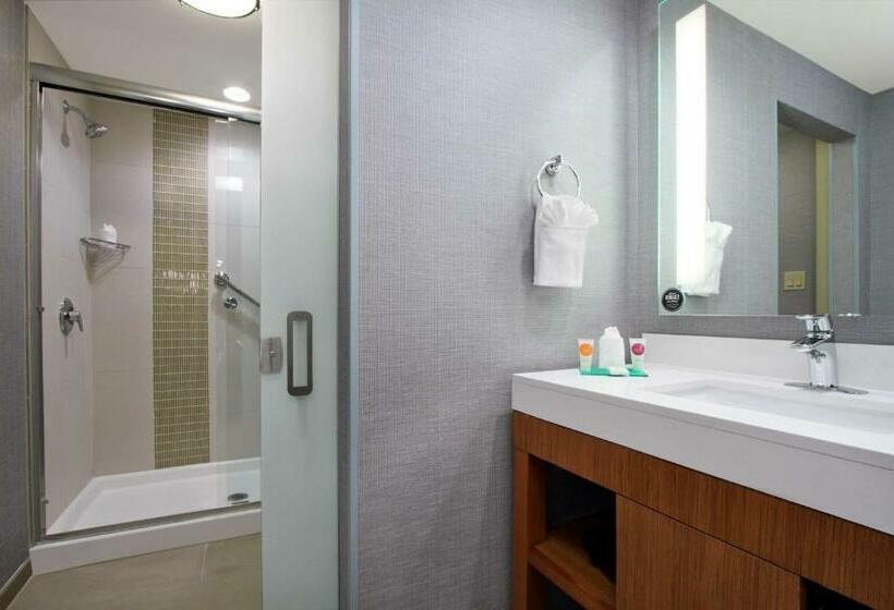 Стандартный Номер Кровать Кинг, Hyatt Place Houston/katy