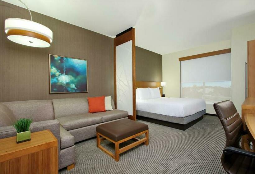 Стандартный Номер Кровать Кинг, Hyatt Place Houston/katy