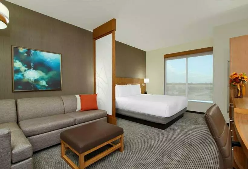 キングサイズベッドのスタンダードルーム, Hyatt Place Houston/katy