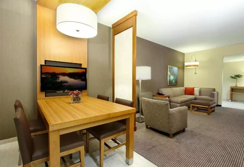キングサイズベッドのスタンダードルーム, Hyatt Place Houston/katy