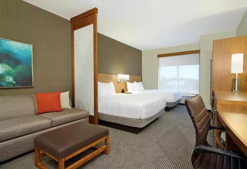 上層階スタンダードルーム, Hyatt Place Houston/katy