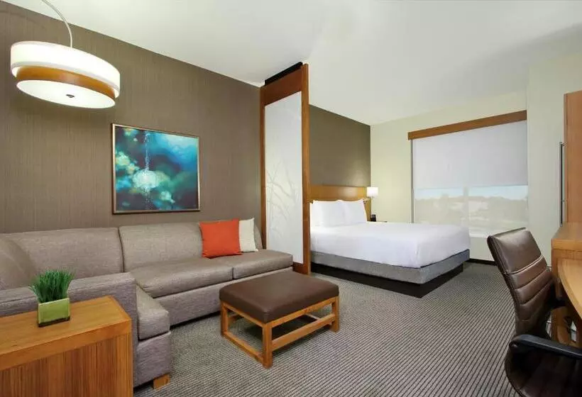 身障者適用スタンダードルーム, Hyatt Place Houston/katy